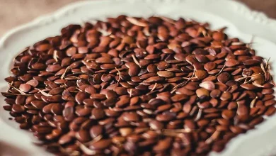 فوائد بذور الكتان للشعر والجنس