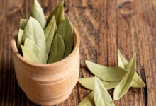 فوائد ورق الغار